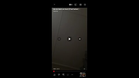 hes back y'all (I have no idea what he is saying 🤣🤣)
