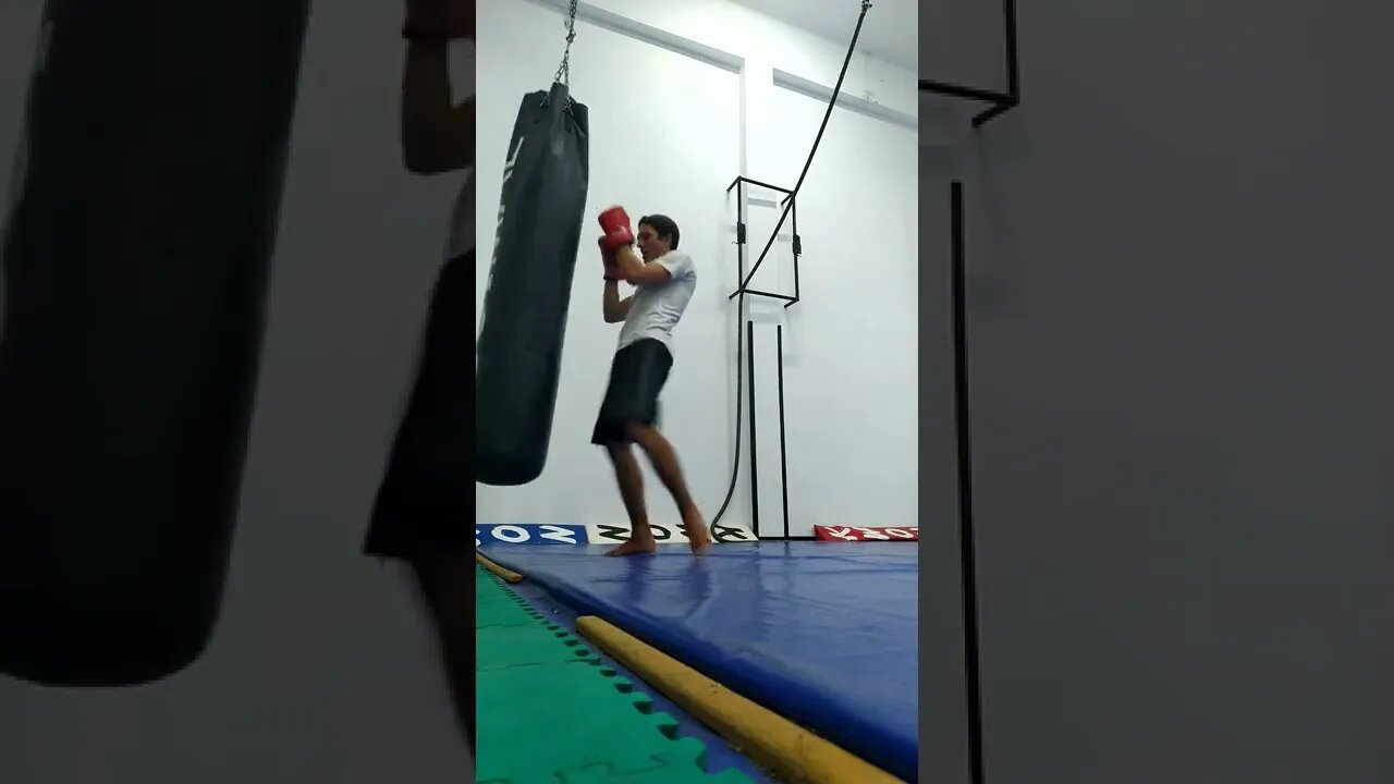 Kick, punch, Elbow and Knee The Bag (21)