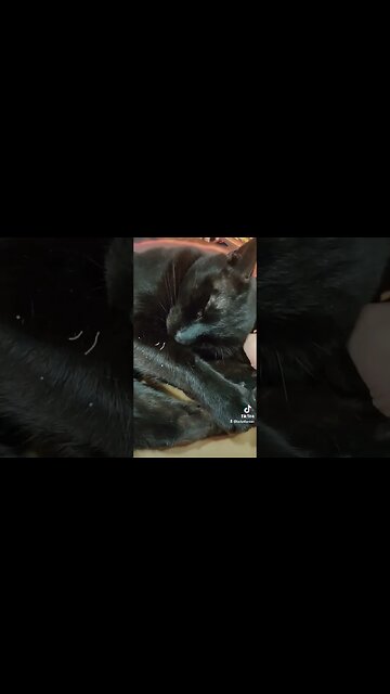 You'll Never Know Sleep Like THIS