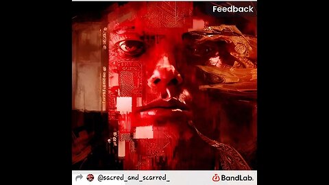 midnight seals by Jason Lee Taylor