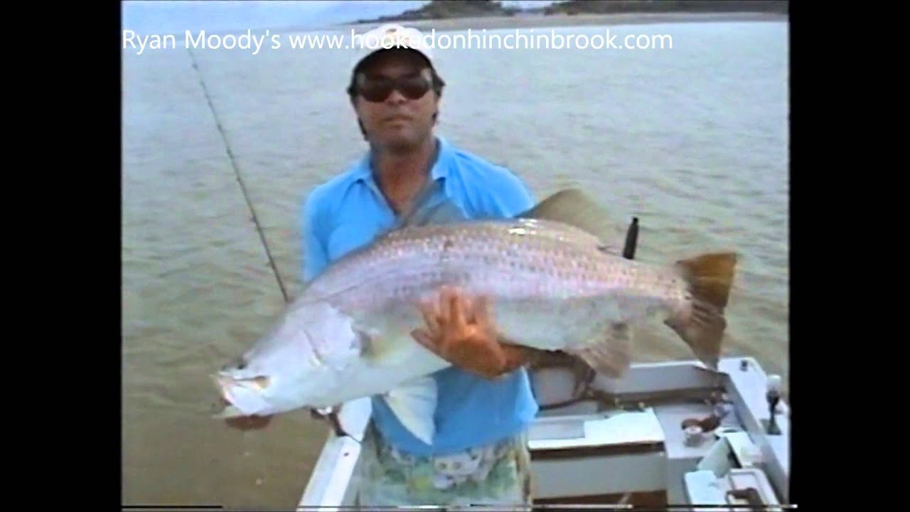 Big Barramundi 1.wmv