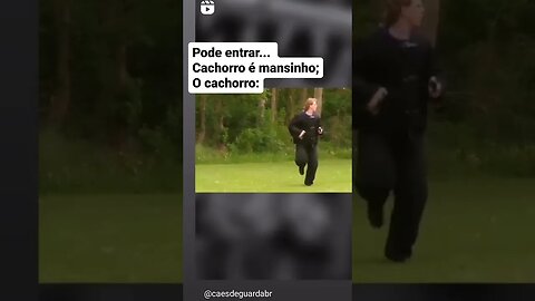 O PESSOAL SEMPRE DIZ ISSO CONHEÇA A REALIDADE #memes #viral #rir #top #tiktok #fyp #shorts