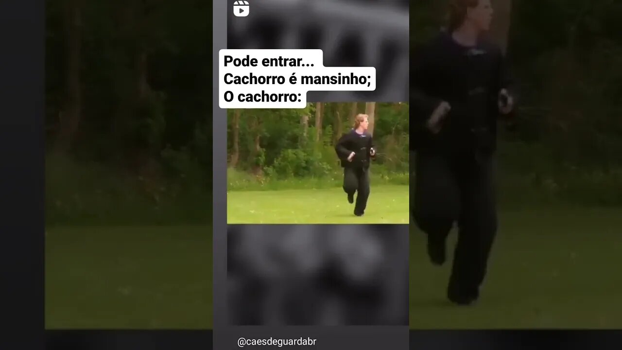 O PESSOAL SEMPRE DIZ ISSO CONHEÇA A REALIDADE #memes #viral #rir #top #tiktok #fyp #shorts