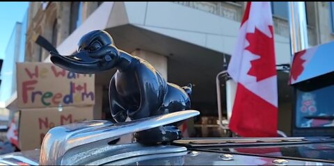 Ottawa 5 Février Canadian Truckers for Freedom (live facebook) (video censuré de Youtube)