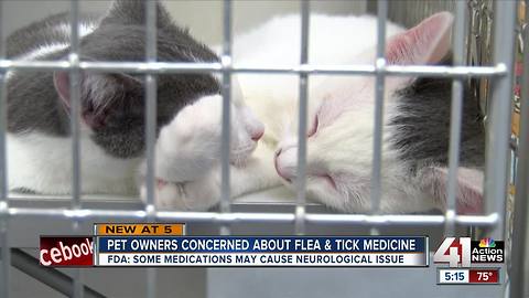 FDA: Flea and tick medicine could cause seizures