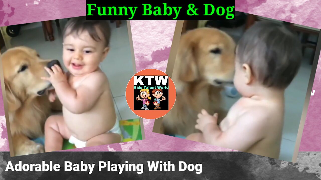 Adorable Baby Playing With Dog - Funny Baby and Dog - Dog and Baby Happy Time | KTW