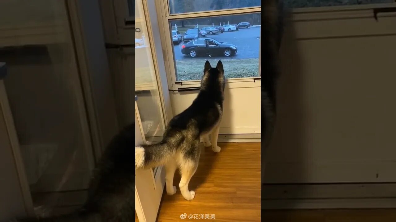 Goodbye My Love