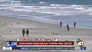 Councilwoman Bry speaks on her push for plan to reopen parks, beaches