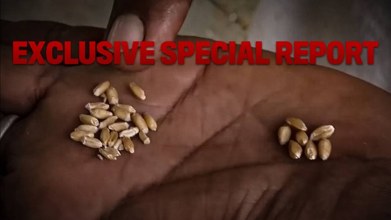 Red Alert: UN and WEF Trigger Worldwide Collapse Of Food Supplies