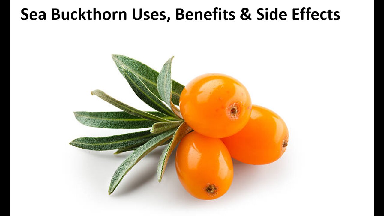 Sea Buckthorn - Benefits, Uses & Side Effects