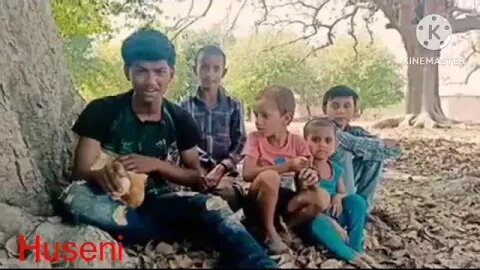 Aaj fir meri murgi ne anda Diya short video