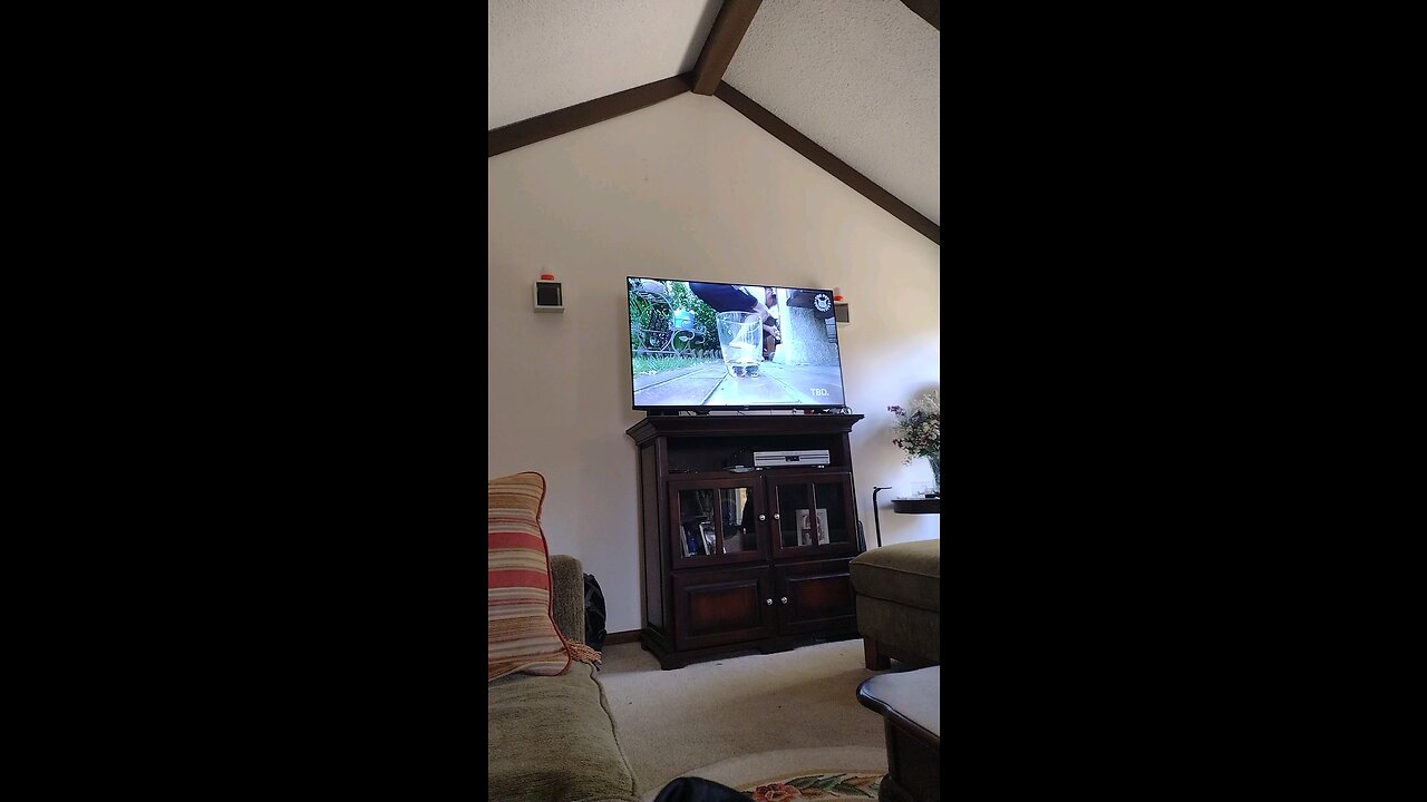 Me to funny cat videos.