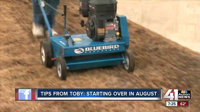 Tips from Toby: starting over in August