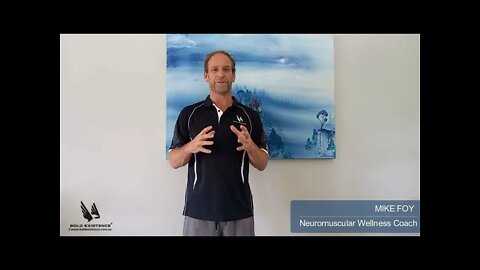 Neuromuscular Concepts - Characterising Relaxation