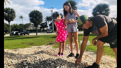 Beachgoers uncover treasures during post-Irma restoration efforts