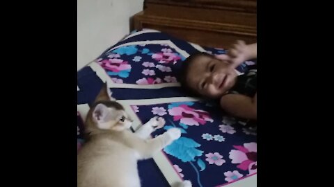 Adorable baby playing with cat (tuntuni)