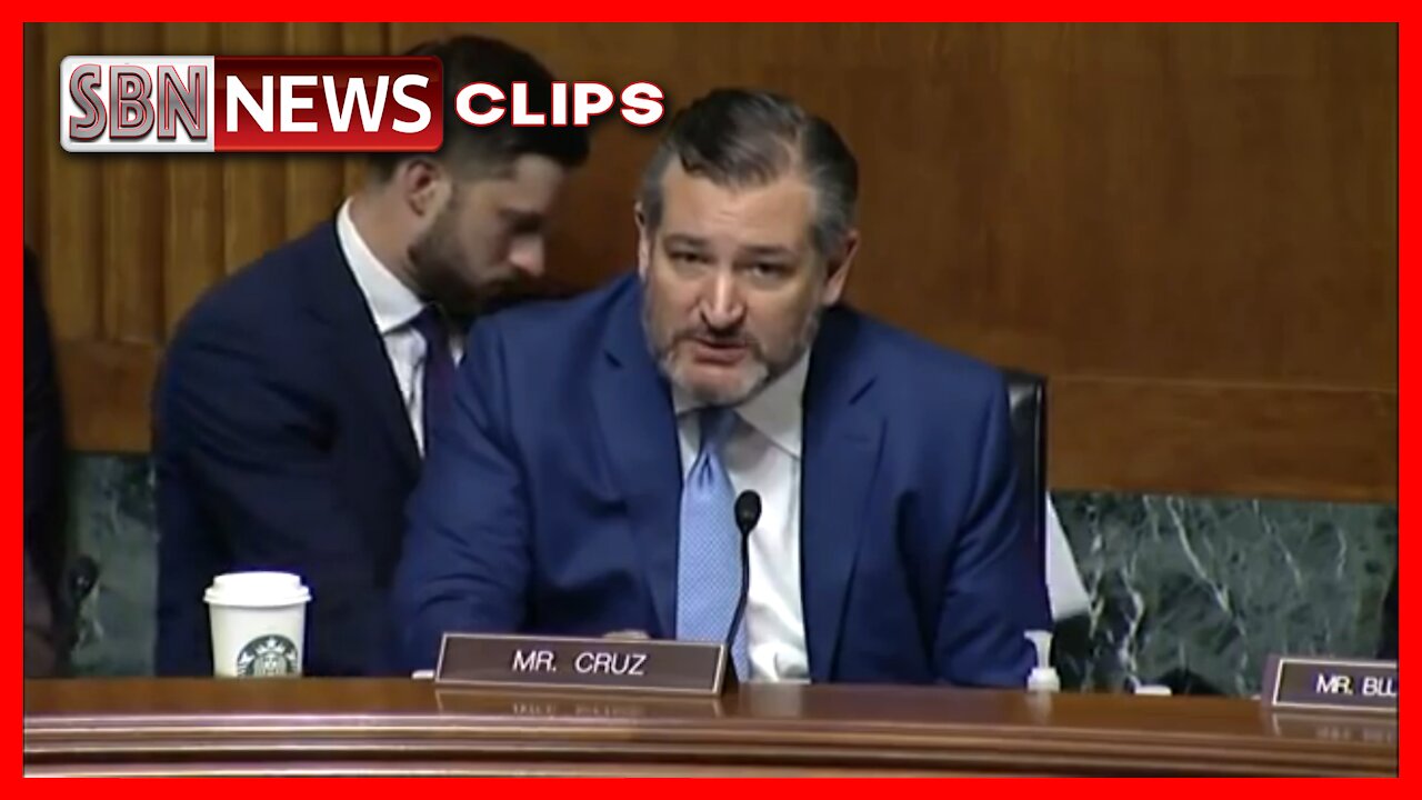 Ted Cruz Grills Dem Witnesses on Voter ID Laws - 3967