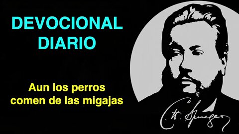 Aun los perros comen de las migajas (Mateo 15:27) Devocional de hoy Charles Spurgeon