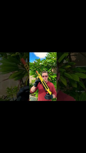 Bug A Salt Gun, shot pattern demo, pump action!