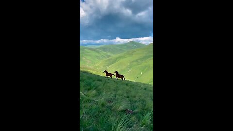 Would you like to ride on horseback and set off amid these green quarters?