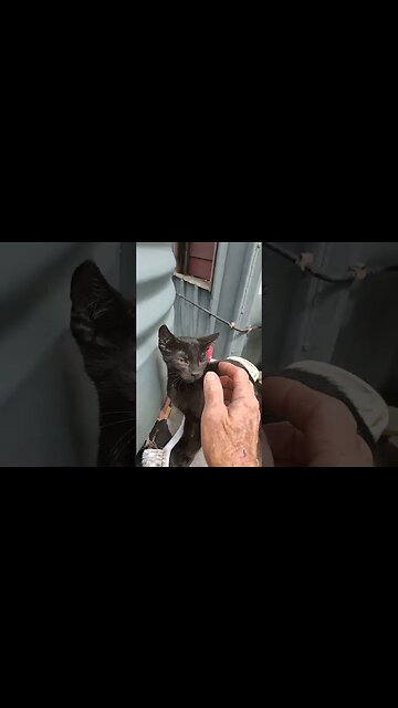 Good morning Charlotte