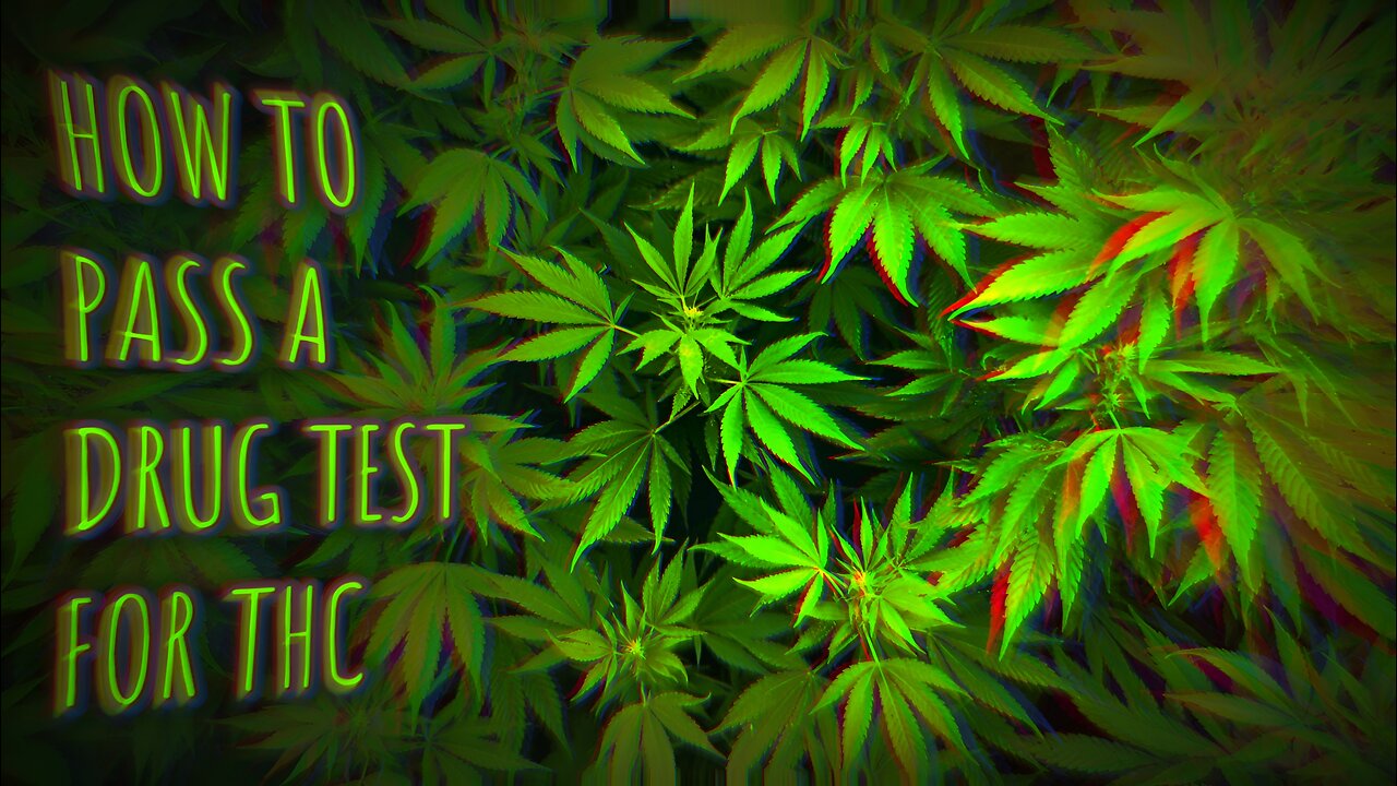 How To Get THC Out Of Your System