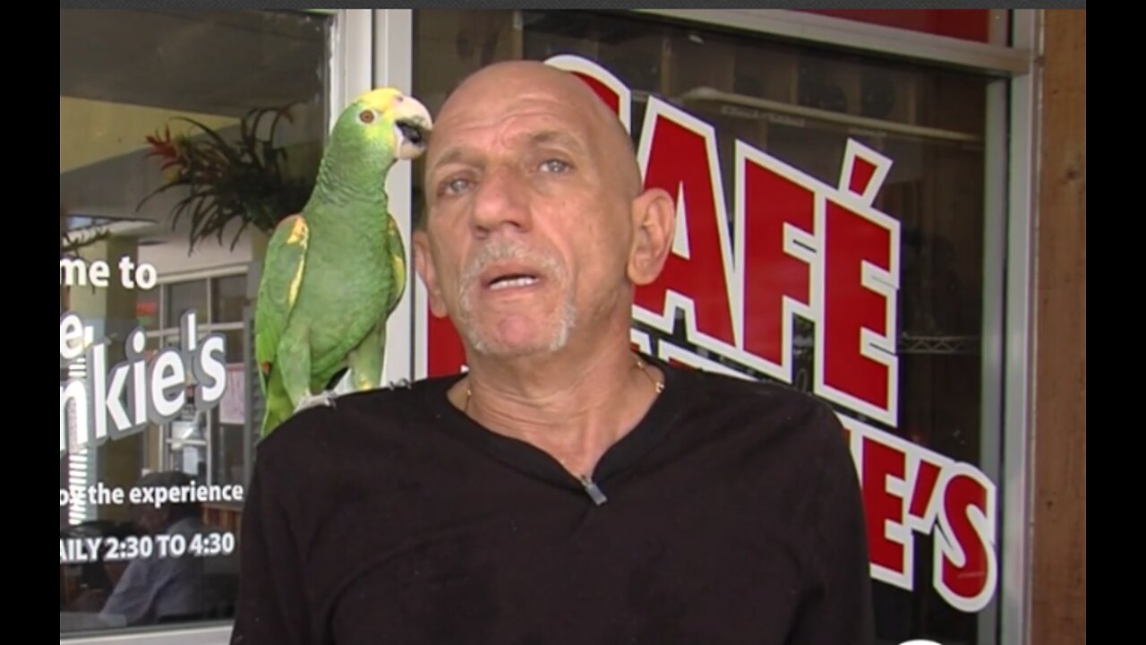 Missing bird has been recovered