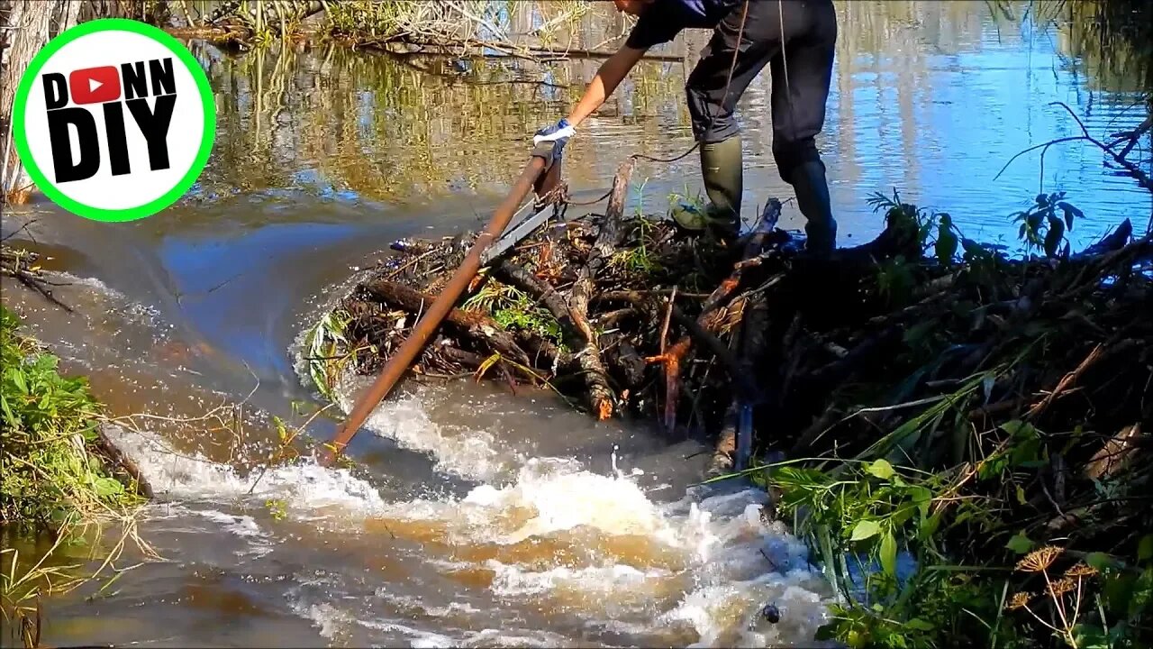Opening Beaver Dam