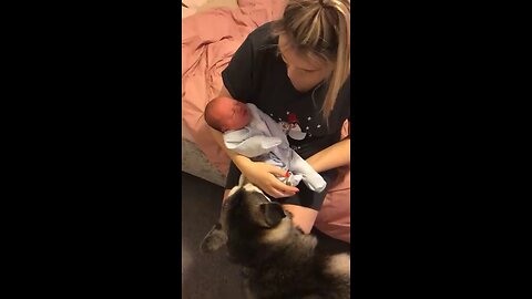 Baby becoming best friend