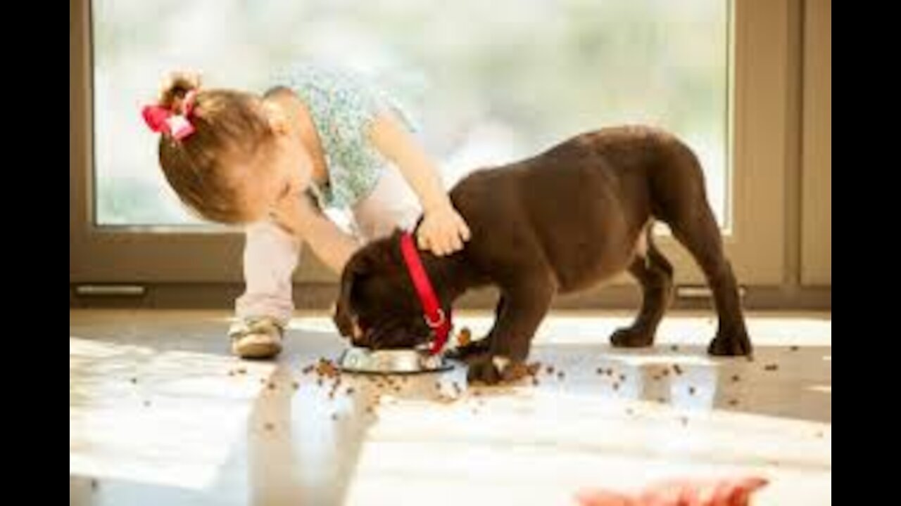 The child and the dog