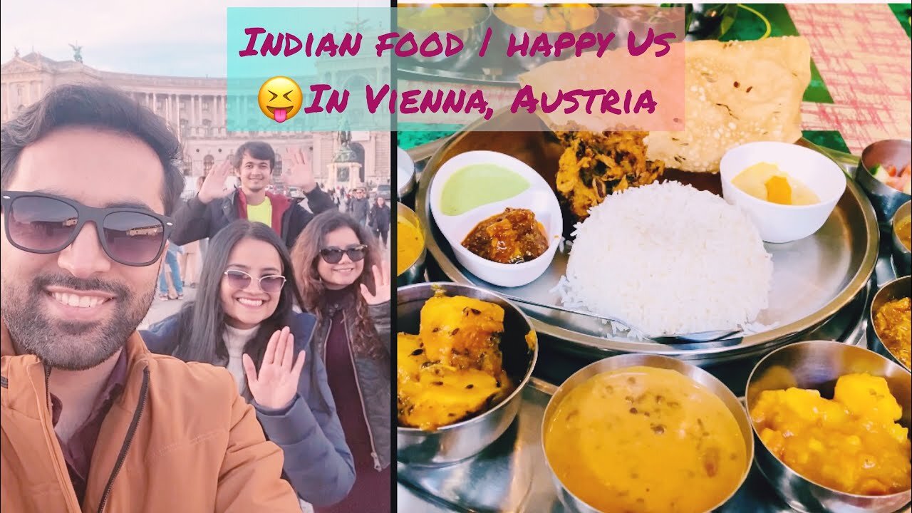 Travel Vlog 2 | Indian food and Masti with friends | Continuation of Vlog 1 | Vienna, Austria