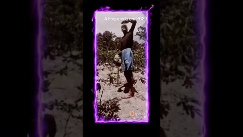 depois que lula foi solto o sol esfriou 🌦️#shorts