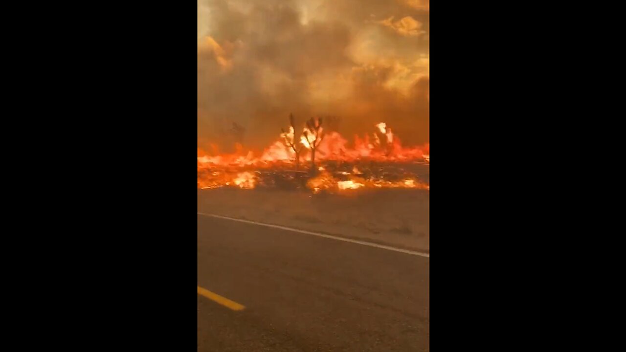 80,000 acres are burning across the New York Mountain Range of California’s Mojave National Preserve