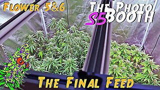 The Photo Booth S5 Ep. 12 | Flower Weeks 5 & 6 | The Final Feed