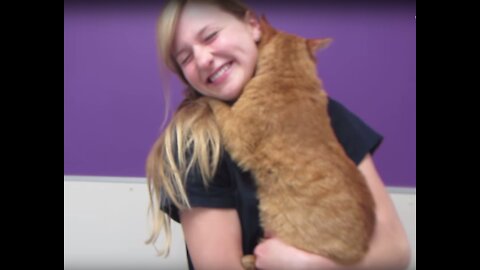 Wulfgar The Hugging Cat