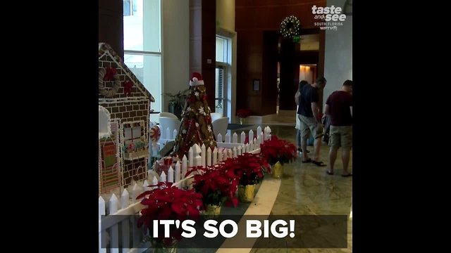 Large gingerbread house brings joy to guest of the Marriott Singer Island Beach Resort and Spa
