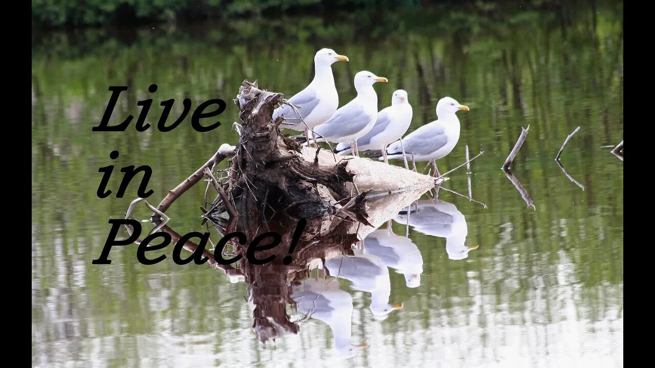 Evangelism A Way Of Life