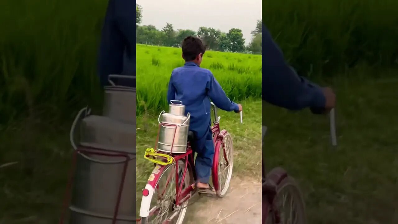 Hardworking village boy #trending #shortsvideo #viral #shortsfeed #youtubeshorts #youtube #village