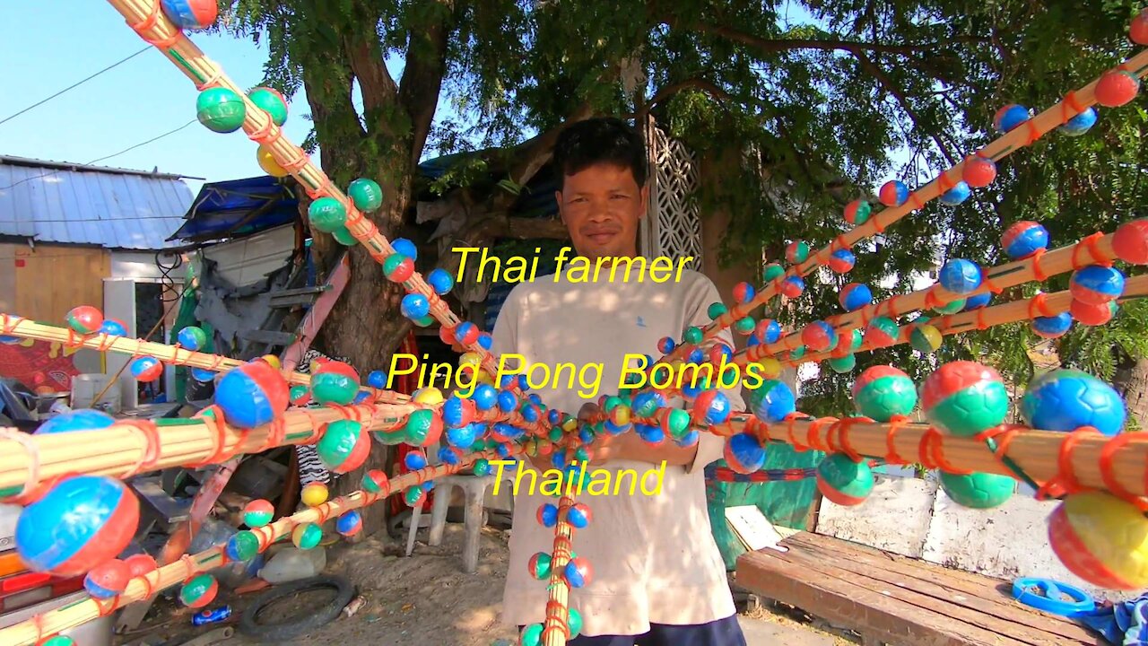Thai farmer using Ping Pong Bombs to scare away birds in Thailand