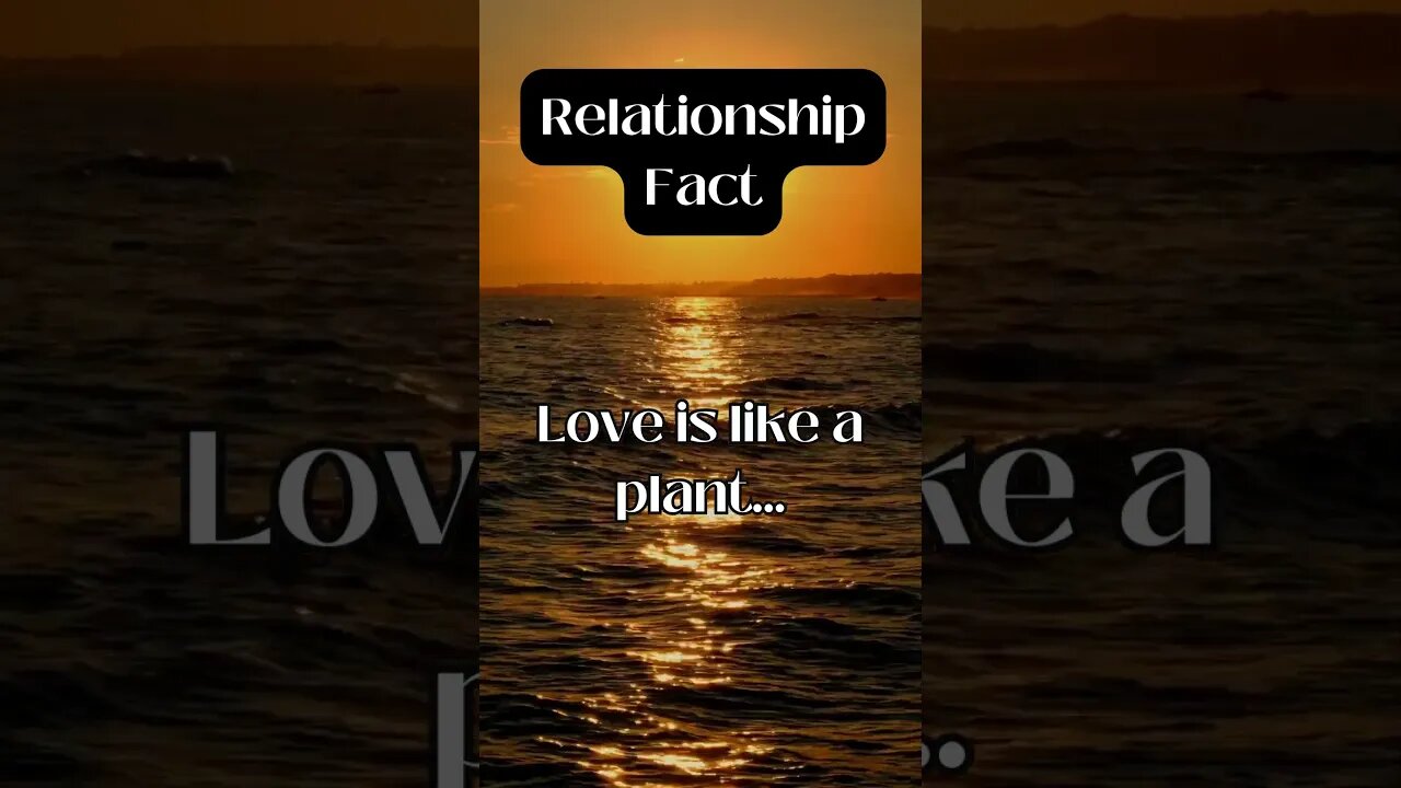 Relationship Facts