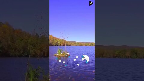 Relaxation Short Videos with Beauty of Nature 31 #shorts #short #shortfeed #nature