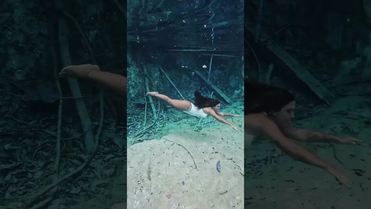 Amazônia