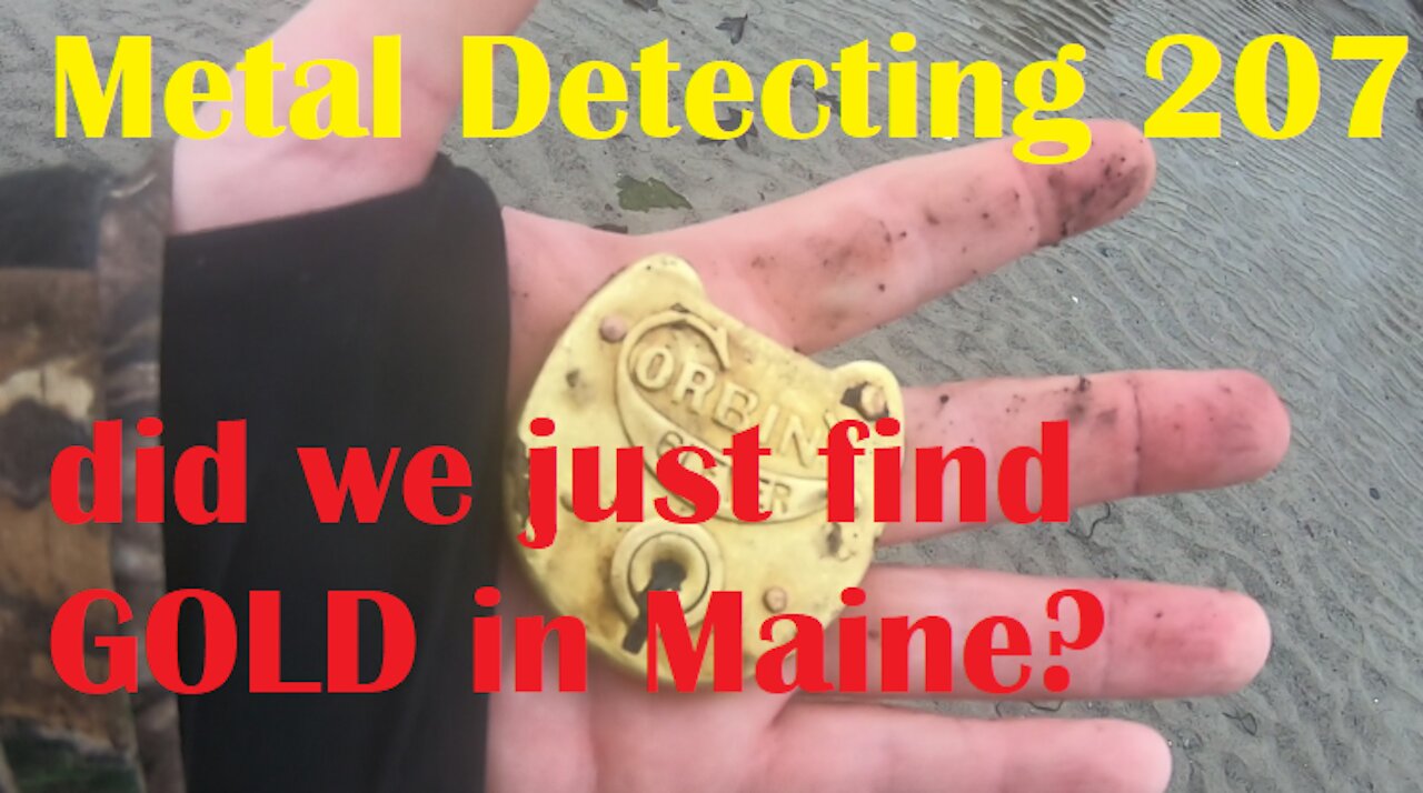 Did we just find gold on the Maine coast?