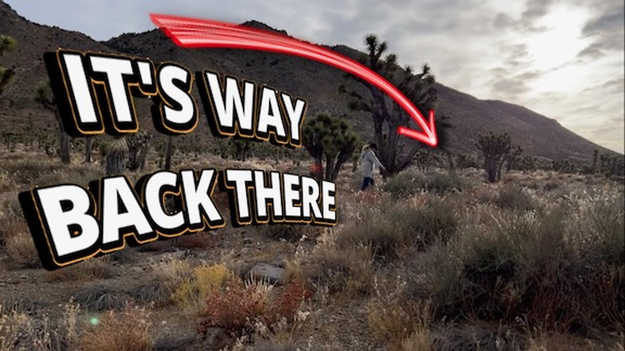 We Followed a Trail in the Desert and Found This Forgotten Place