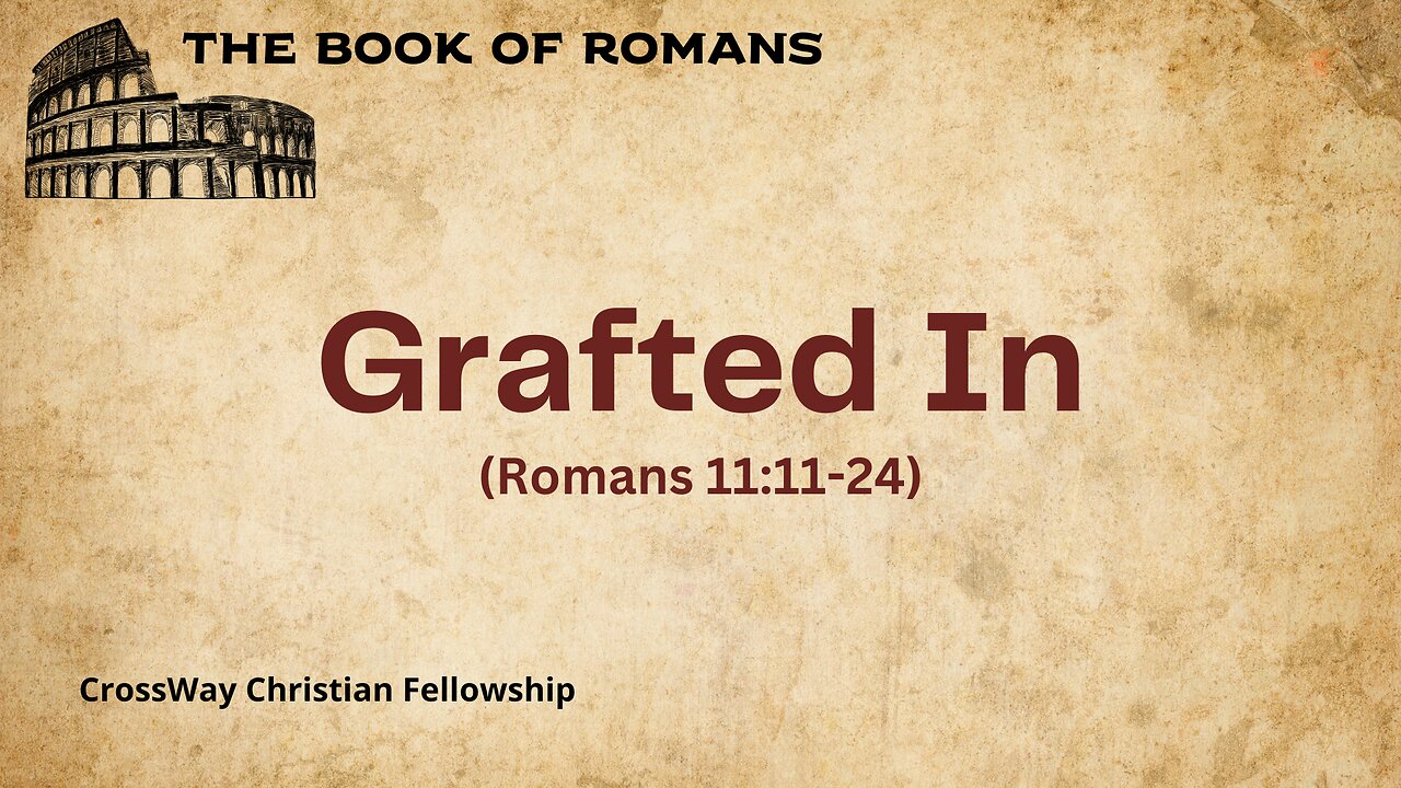 Grafted In (Romans 11:11-24)