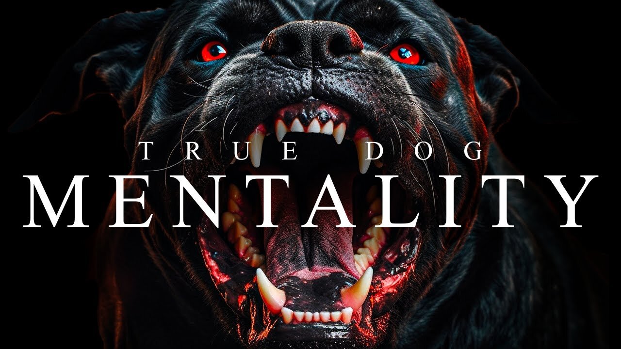 TRUE DOG MENTALITY - Best Motivational Video Speeches Compilation