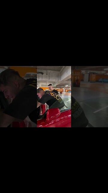 CIPI REACTIONEAZA LA NOUL VOLAN #oguritamica #mancaciosul #mancare #romania