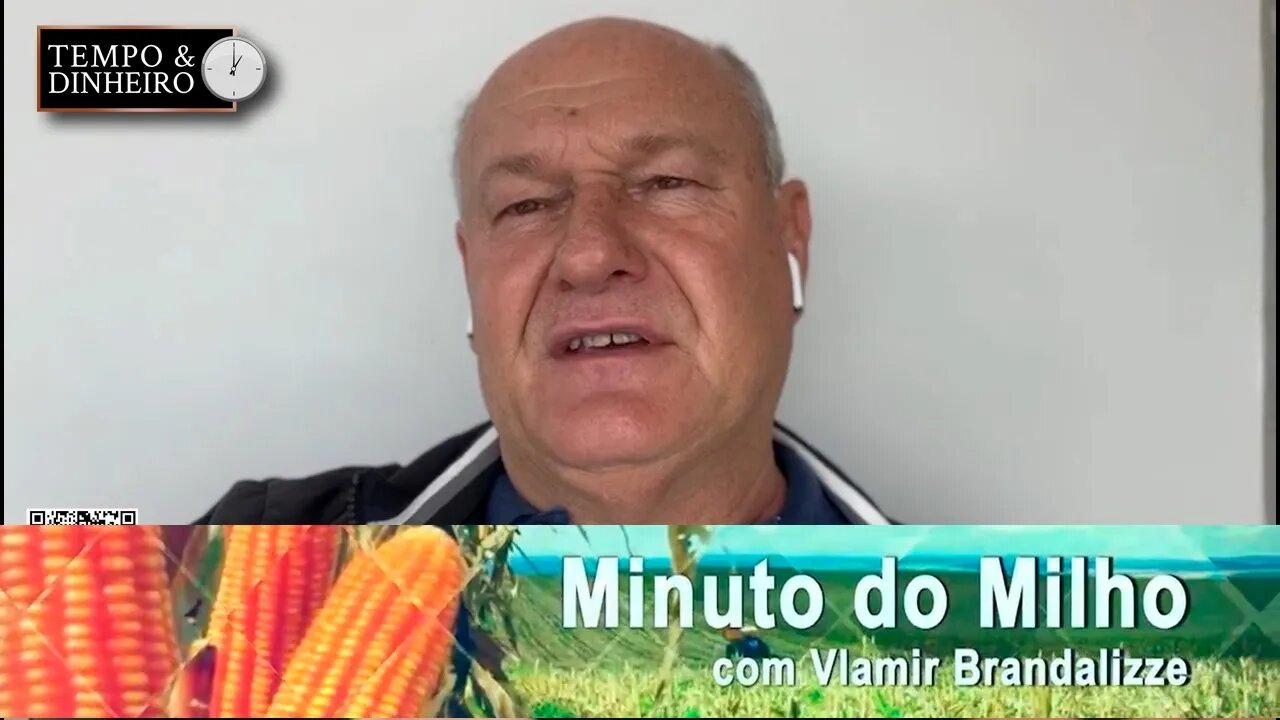 Setor de ração devendo voltar as compras