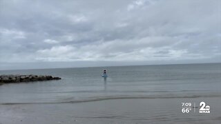 Saving the Bay with paddleboarding