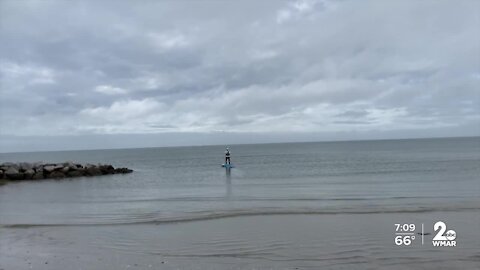 Saving the Bay with paddleboarding